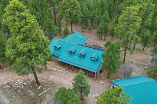 2542 Sioux Ln, Happy Jack, AZ 86024 - Photo 38