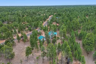 2542 Sioux Ln, Happy Jack, AZ 86024 - Photo 46