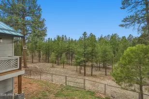 2542 Sioux Ln, Happy Jack, AZ 86024 - Photo 32