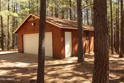 659 Mule Springs Trail, Forest Lakes, AZ 85931 - Photo 6