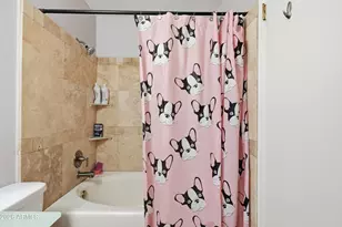 3302 E Aire Libre Ave, Phoenix, AZ 85032 - Photo 20
