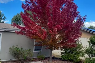 112 E Pine St, Payson, AZ 85541 - Photo 58