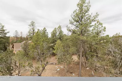 3326 Homestead Drive, Overgaard, AZ 85933 - Photo 82