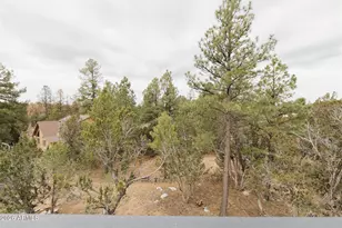 3326 Homestead Dr, Overgaard, AZ 85933 - Photo 82