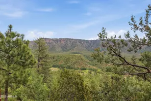 4781 N Canyon Vista Rd, Pine, AZ 85544 - Photo 26