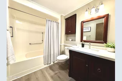 18442 N 104th Avenue, Sun City, AZ 85373 - Photo 20