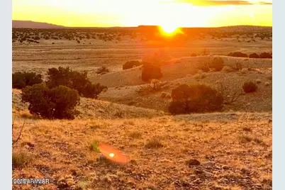 Rbd Co Rd N6659 36.25 Acres -- #-, Saint Johns, AZ 85936 - Photo 2