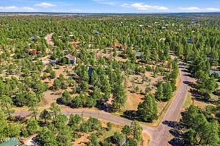 2250 Grizzly Dr, Overgaard, AZ 85933 - Photo 40