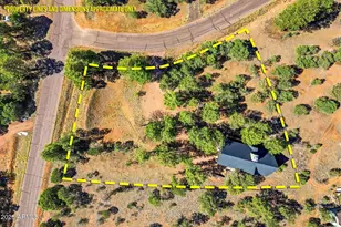 2250 Grizzly Dr, Overgaard, AZ 85933 - Photo 38