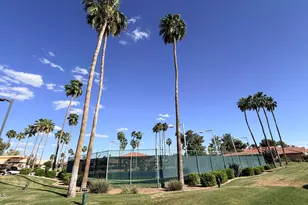 26226 S Flame Tree Dr, Sun Lakes, AZ 85248 - Photo 32