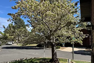 4001 N Zermatt Way, Flagstaff, AZ 86004 - Photo 2