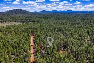 913 Birdsong Wy, Lakeside, AZ 85929 - Photo 30