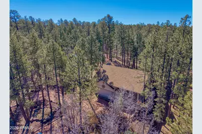 71 E Turkey Track Lane, Pinetop, AZ 85935 - Photo 42