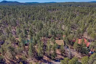71 E Turkey Track Ln, Pinetop, AZ 85935 - Photo 40
