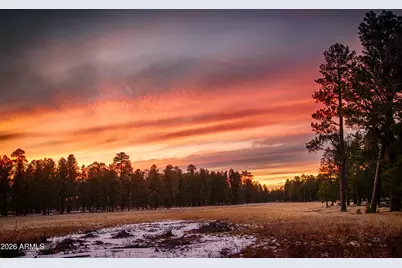 2530 Village Court, Pinetop, AZ 85935 - Photo 34