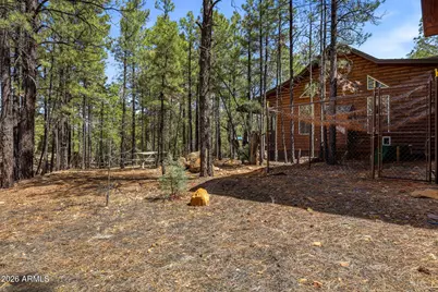 2024 Jones Pass, Overgaard, AZ 85933 - Photo 38