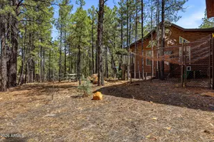 2024 Jone's Pass, Overgaard, AZ 85933 - Photo 38