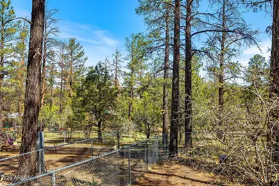 2500 W Savage --, Show Low, AZ 85901 - Photo 10
