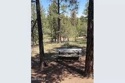2500 W Savage --, Show Low, AZ 85901 - Photo 8