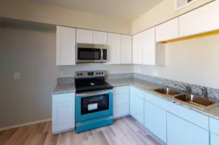 960 S Mara Dr, Apache Junction, AZ 85120 - Photo 10