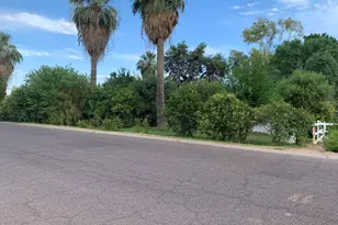 323 E Rose Ln, Phoenix, AZ 85012 - Photo 4