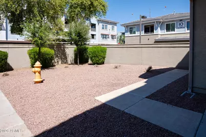 241 E Roadrunner Drive, Chandler, AZ 85286 - Photo 4