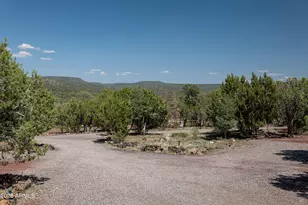 42320 N Walk About Trail, Seligman, AZ 86337 - Photo 6