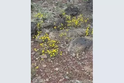 42320 N Walk About Trail, Seligman, AZ 86337 - Photo 60