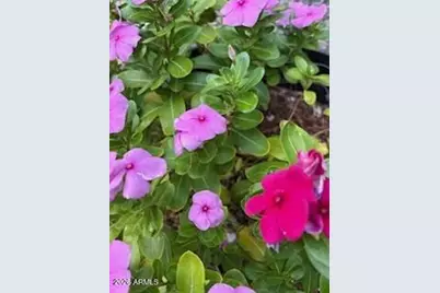 42320 N Walk About Trail, Seligman, AZ 86337 - Photo 58