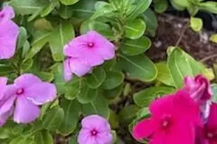 42320 N Walk About Trail, Seligman, AZ 86337 - Photo 58