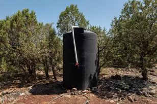 42320 N Walk About Trail, Seligman, AZ 86337 - Photo 14