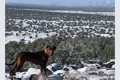 42320 N Walk About Trail, Seligman, AZ 86337 - Photo 54