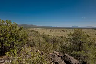 42320 N Walk About Trail, Seligman, AZ 86337 - Photo 56