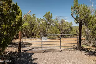 42320 N Walk About Trail, Seligman, AZ 86337 - Photo 8