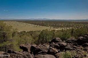 42320 N Walk About Trail, Seligman, AZ 86337 - Photo 58