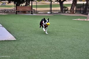 18973 N Aztec Point Dr, Surprise, AZ 85387 - Photo 46