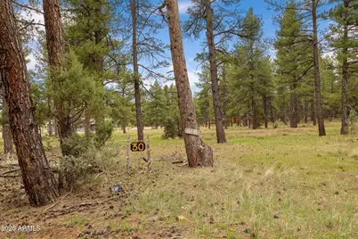 318 W Ava J Circle #30, Munds Park, AZ 86017 - Photo 30