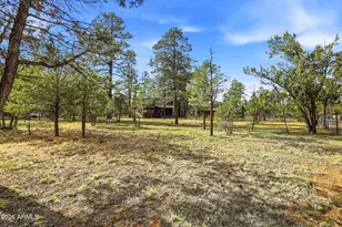 3022 Chevelon Rd, Overgaard, AZ 85933 - Photo 26