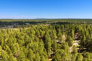 3161 S Troxler Cir, Flagstaff, AZ 86005 - Photo 52