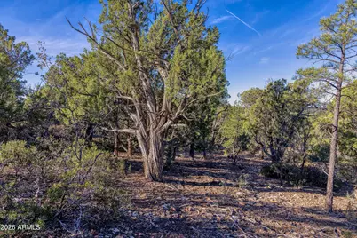 1611 S Canyon Ridge Trail #67, Show Low, AZ 85901 - Photo 10