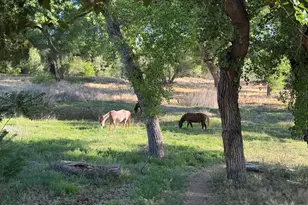 1226 W Peterson Rd, Camp Verde, AZ 86322 - Photo 1