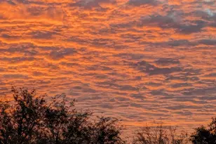 1855 W Trail Blazer Dr, Cottonwood, AZ 86326 - Photo 82