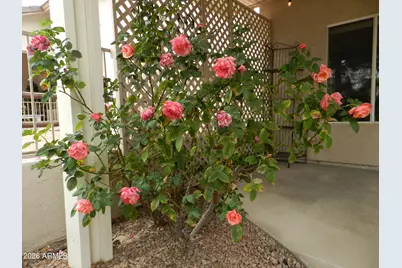 1855 W Trail Blazer Drive, Cottonwood, AZ 86326 - Photo 50