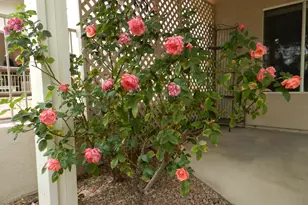 1855 W Trail Blazer Dr, Cottonwood, AZ 86326 - Photo 50