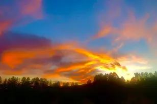 746 W Sleepy Hollow Ln, Payson, AZ 85541 - Photo 60