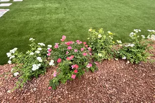 9321 W Sells Dr, Phoenix, AZ 85037 - Photo 50