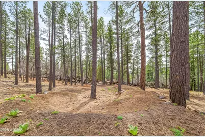 105 E Mount Elden Lookout Road, Flagstaff, AZ 86001 - Photo 14