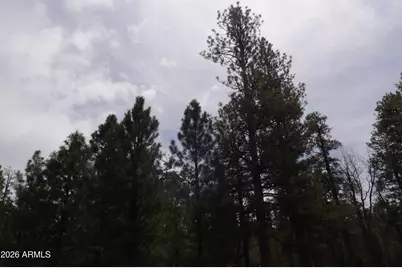 2011 Pine Canyon Drive #173, Happy Jack, AZ 86024 - Photo 8