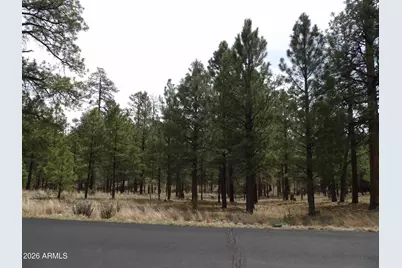 2011 Pine Canyon Drive #173, Happy Jack, AZ 86024 - Photo 1