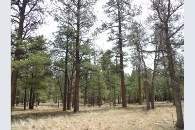 2011 Pine Canyon Drive #173, Happy Jack, AZ 86024 - Photo 4